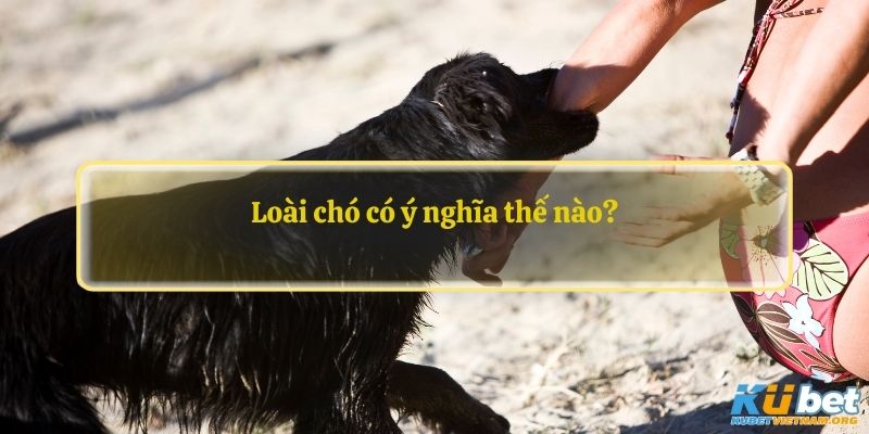 Loài chó có ý nghĩa thế nào?