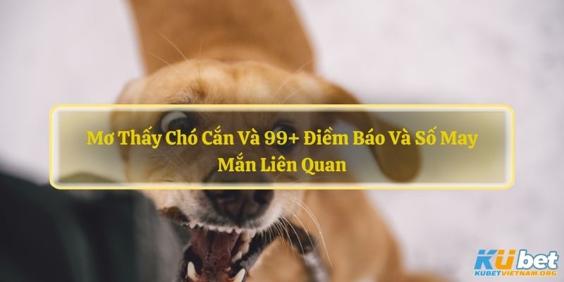 Mơ Thấy Chó Cắn Và 99+ Điềm Báo Và Số May Mắn Liên Quan