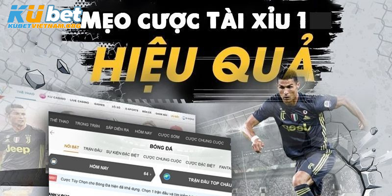 Mẹo chơi tài xỉu 1 trái hiệu quả