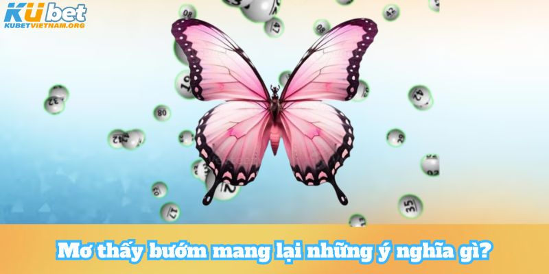 Mơ thấy bướm mang lại những ý nghĩa gì?